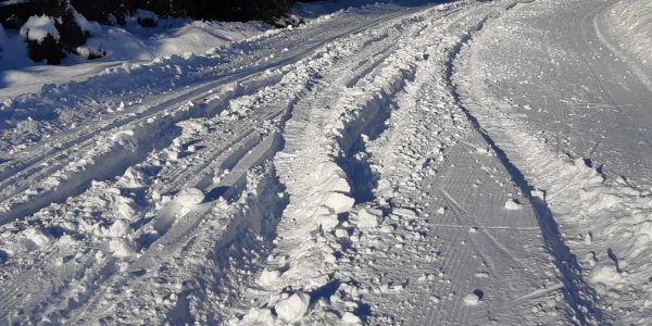 Les pistes de ski de fond ont été endommagées à Forestville.